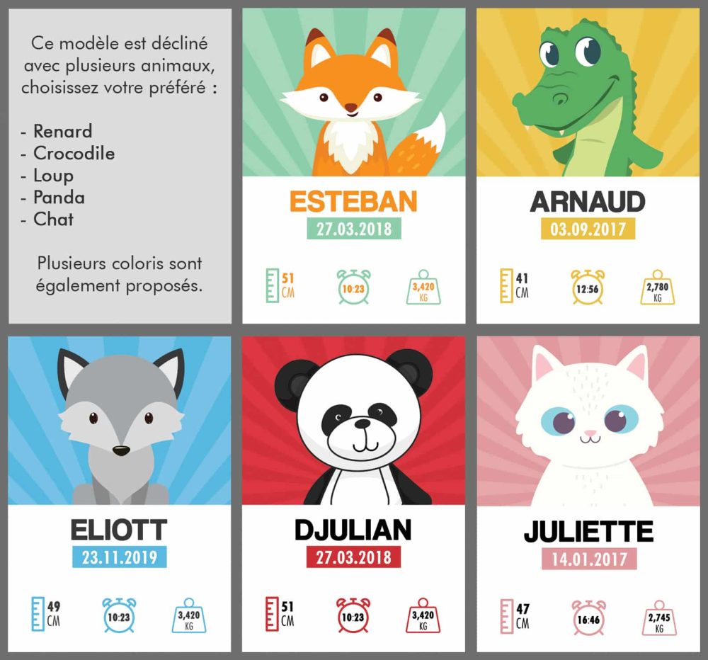 Affiche naissance Crocodile – Image 3
