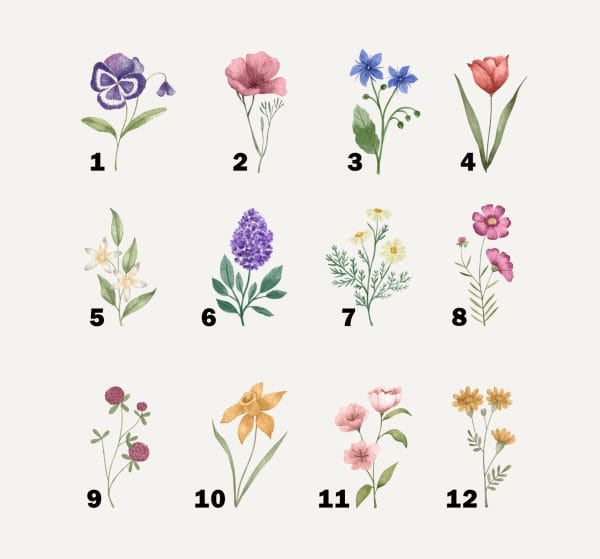 Affiche le jardin de mamie et ses petites fleurs – Image 2